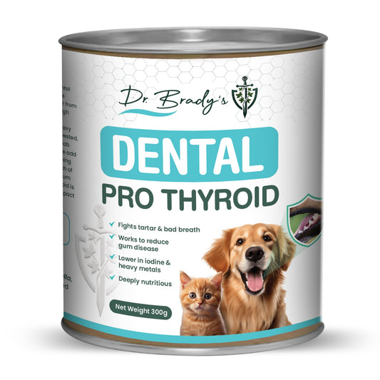 Dr Brady's Dental Pro Thyroid 300g