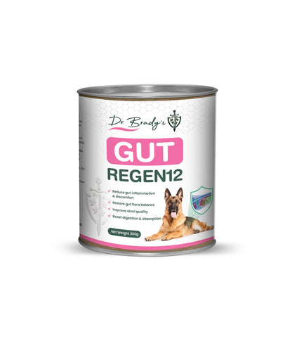 Dr. Brady's Gut Regen 12 300g