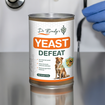 Dr. Brady's Yeast 200g