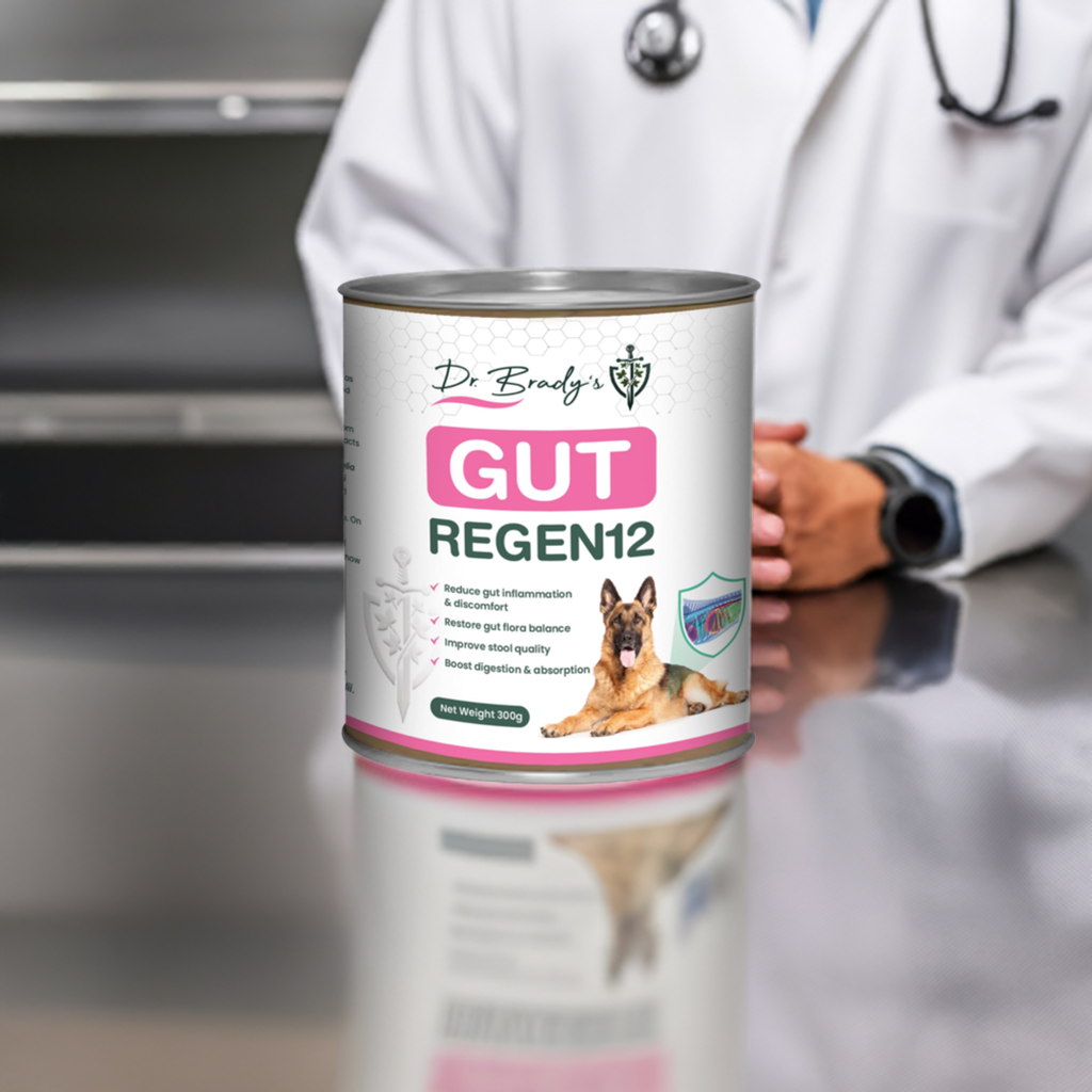 Dr. Brady's Gut Regen 12 300g